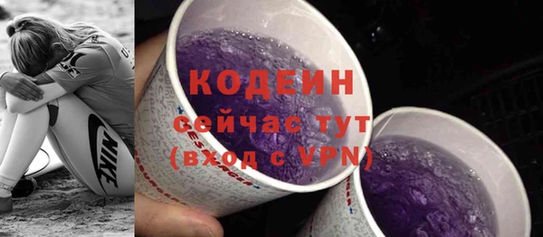 соль ск Няндома