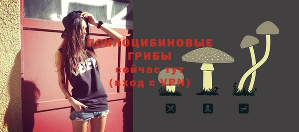 соль ск Няндома