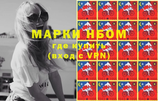 соль ск Няндома