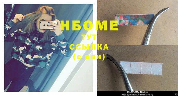 соль ск Няндома