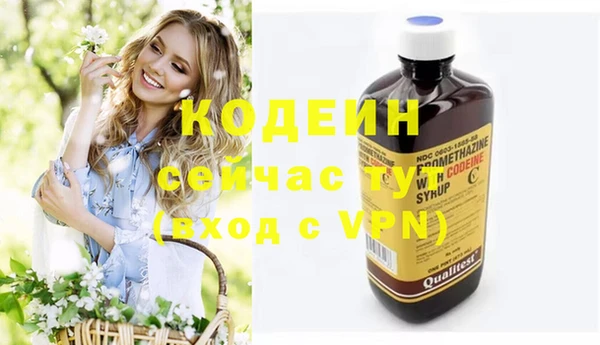 соль ск Няндома