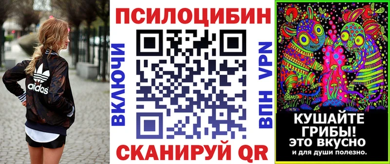 Купить закладки  Старый Крым  Псилоцибиновые грибы Psilocybe 
